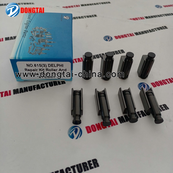 NO.615(3) DELPHI Repair Kit Roller And Shoe Kit 7135-72S